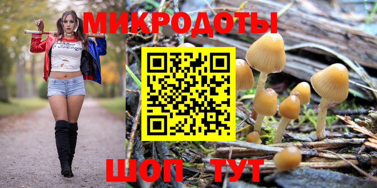 Галлюциногенные грибы Psilocybine cubensis Курск